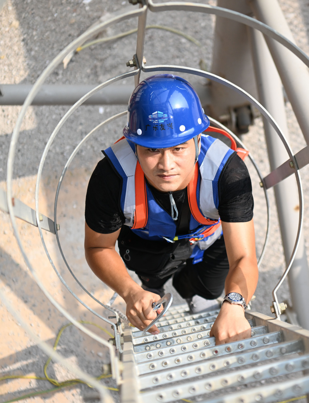 图片故事塔吊夫妻同生缘