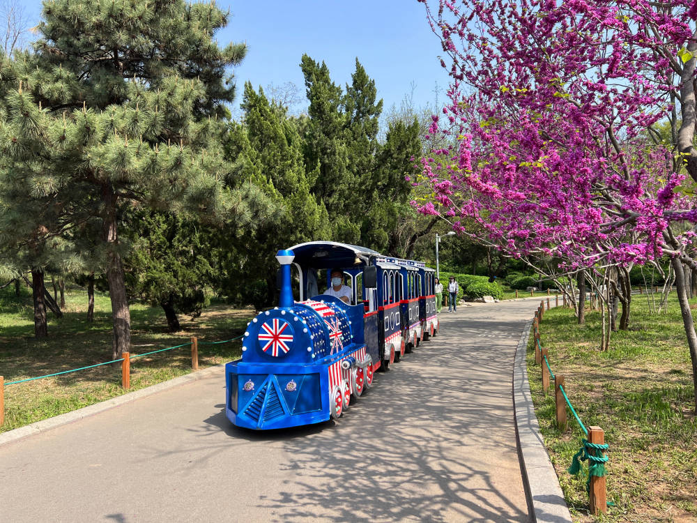 组图丨济南泉城公园春光烂漫百花争艳