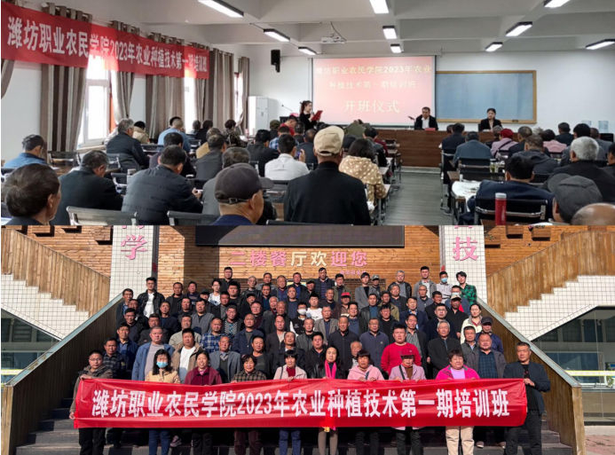 [南方生姜网-图片加载]
