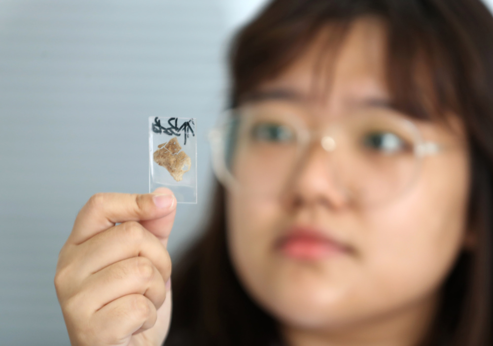 探访沈阳农业大学土肥高效利用国家工程研究中心_腾讯