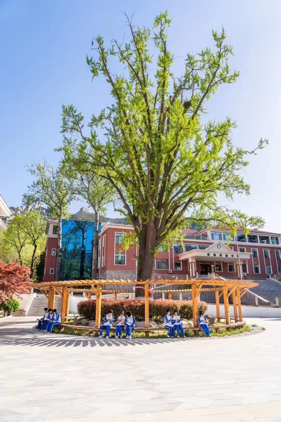 青岛启迪中学不仅底蕴深厚,还有雄厚的师资,教师队伍呈现清华理念