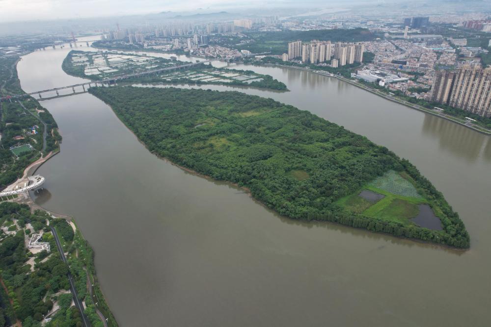 顺风岛占地约765亩,岛形呈橄榄状,东面为大汕岛,双岛由容桂水道支流