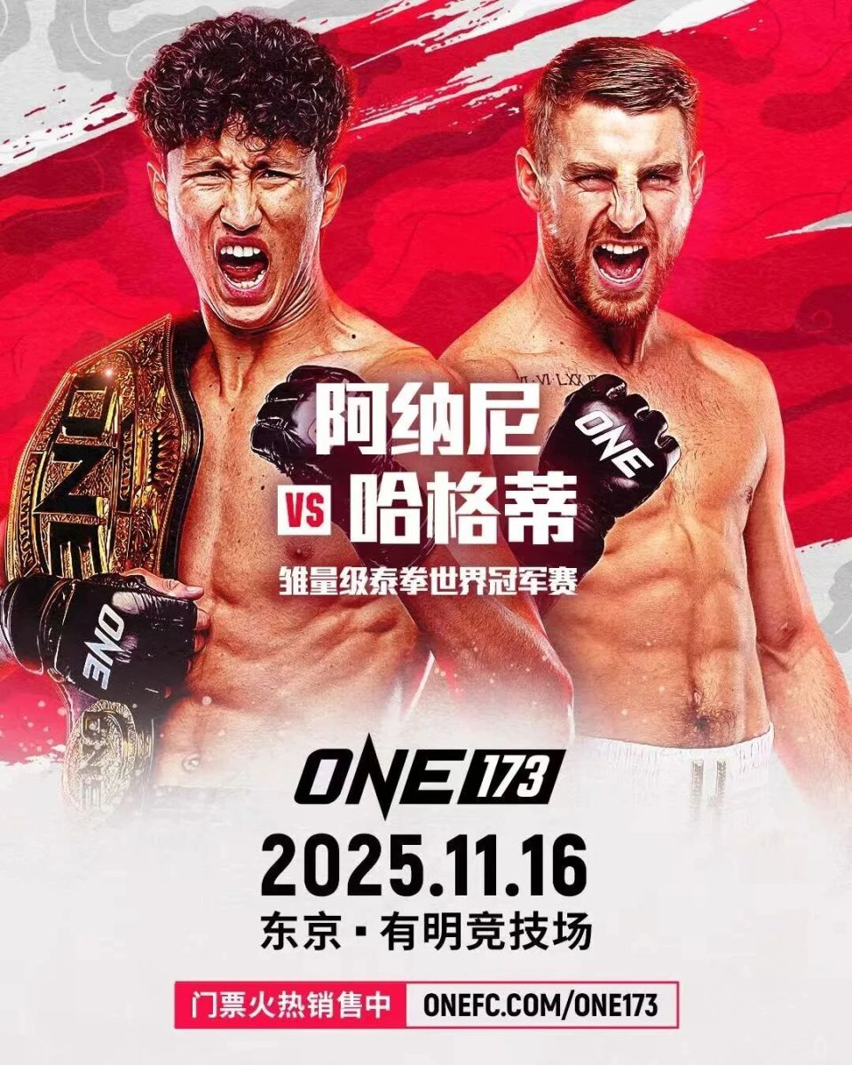 ONE冠军赛173：纳比勒·阿纳尼vs乔纳森·哈格蒂_腾讯新闻