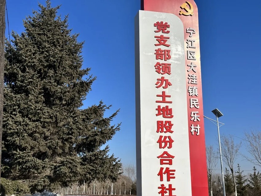 松原市宁江区大洼镇村党支部领办土地股份合作社紧锣密鼓备春耕_腾讯