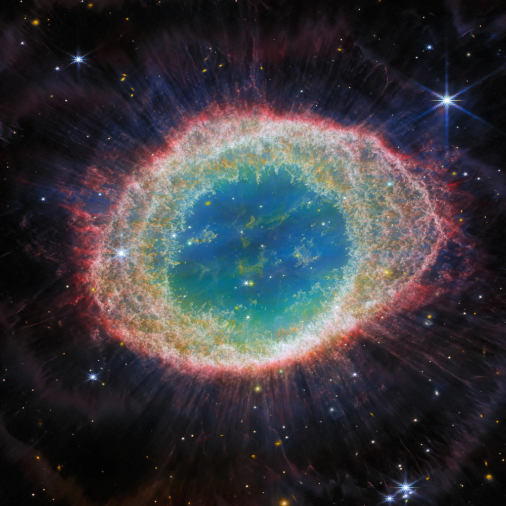 虹彩环星云,珊瑚倒影,独一无二的长颈鹿 | 8月科技图片,见证一颗恒星