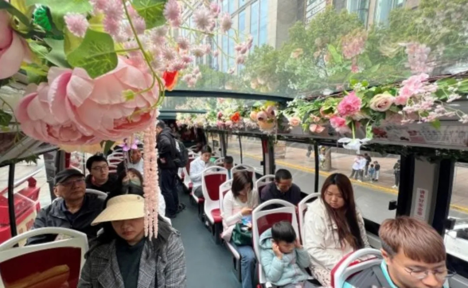 花展"办"进了观光车和博物馆,上海开启"全城花展"模式!