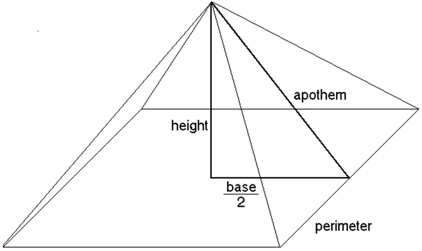体育老师是这么教你约分的?