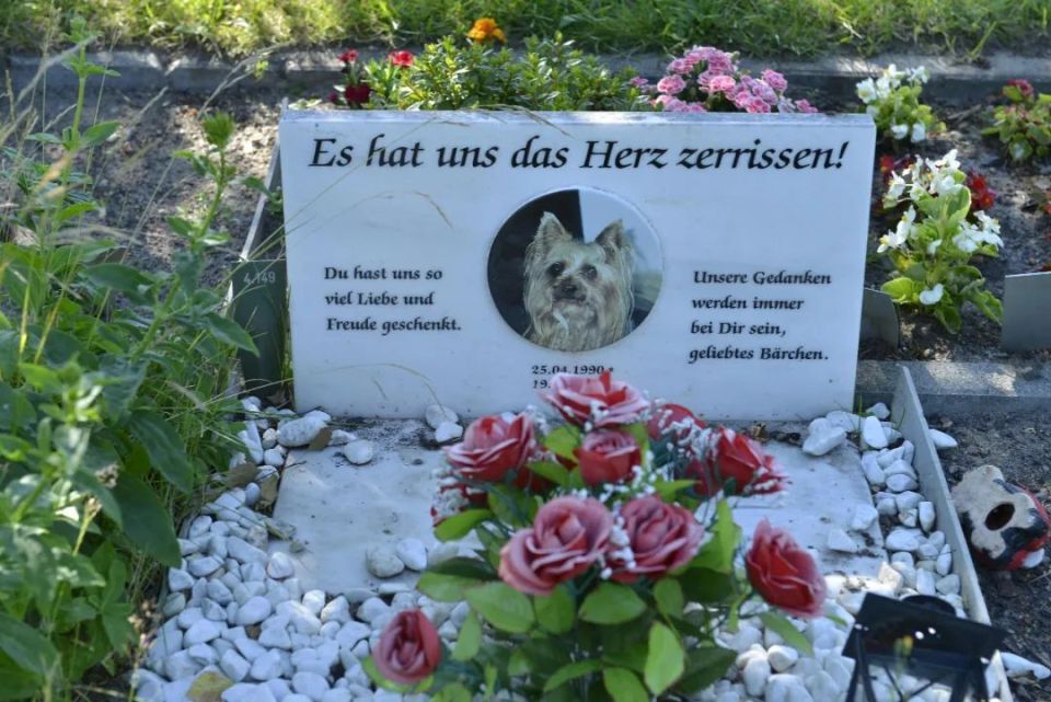 给宠物办葬礼的人