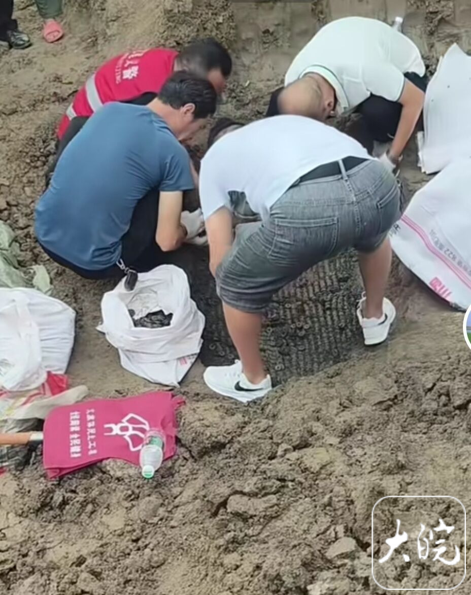 霍邱出土古钱币重约千斤,未发现被盗或流失现象