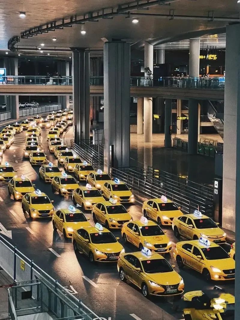 黑桃曾是上海的一名出租车司机,老家在河南南阳.