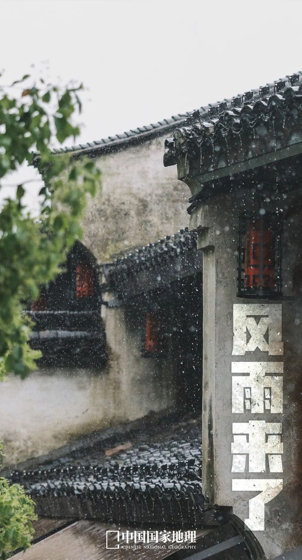 夏季风,一股不同寻常的风