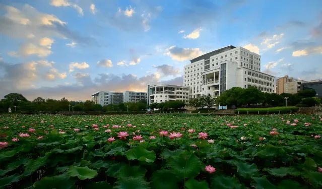 江西景德镇师范学院图片