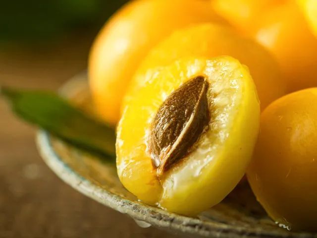 超甜的新疆小白杏,皮薄,肉多,香甜味美!