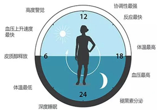 中国医疗保健国际交流促进会眩晕医学分会 