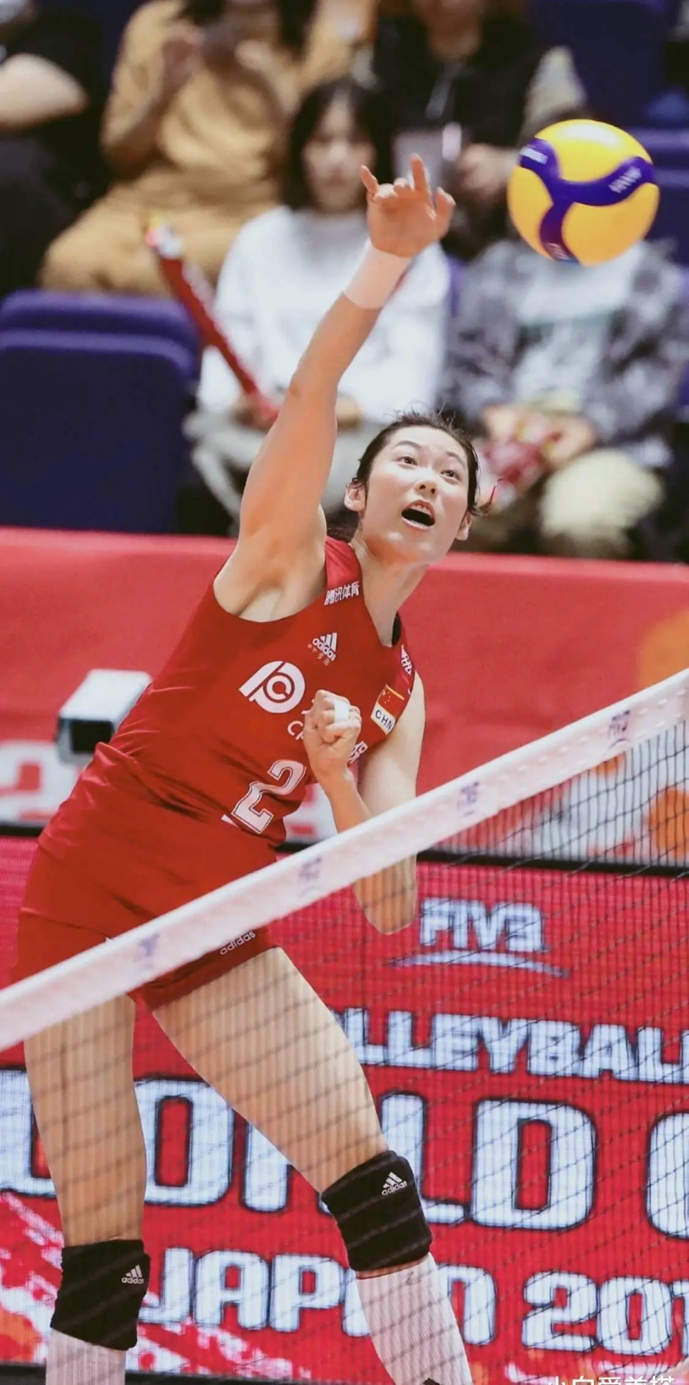 14名河南运动员入围巴黎奥运会中国军团