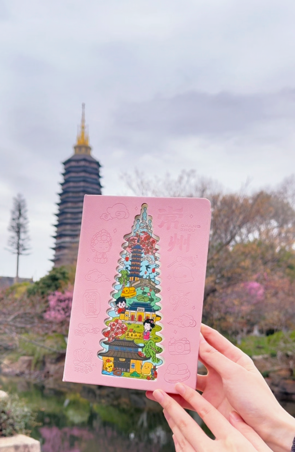 图片