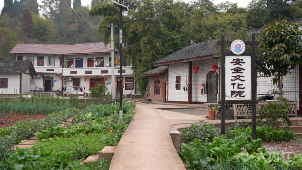 甜美内江城最美内江人丨东兴区田家镇改善农村面貌提升乡村颜值