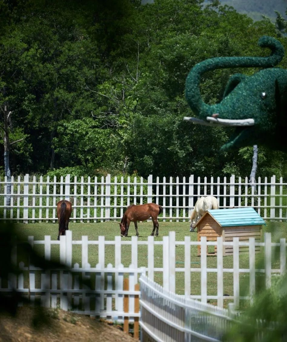 春游江淮 | 治愈系五月,个个都是隐藏版的"安逸广德"!