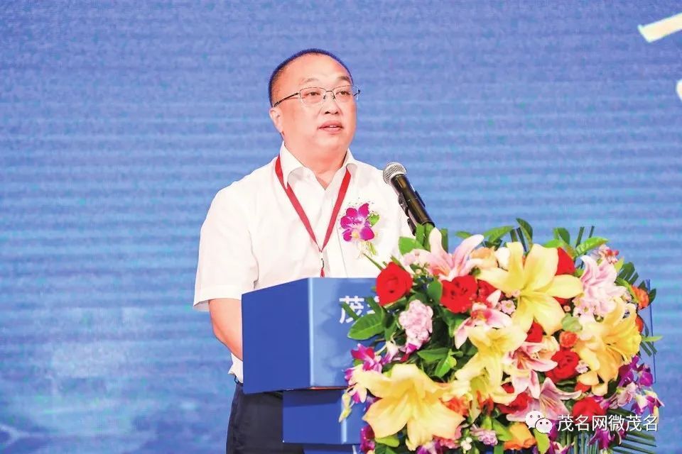 签约9个项目投资6331亿元茂南区金塘镇商会正式成立