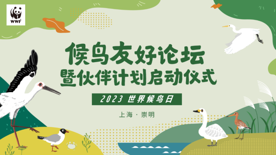 WWF启动候鸟友好伙伴计划，多方携手共护迁徙之路_腾讯新闻