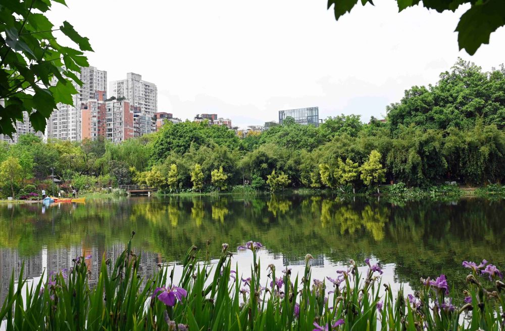 重庆大渡口公园三境融合,成为重庆市民休闲娱乐的好去处