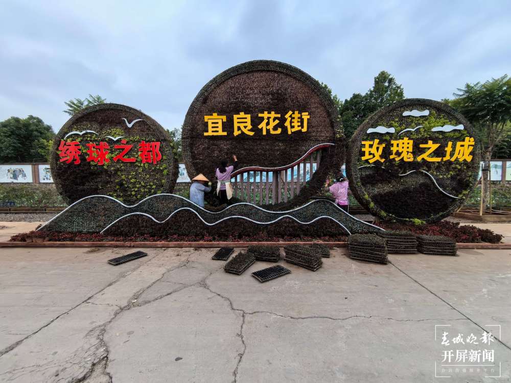 美好生活在云南|2024年宜良花街节明日开幕