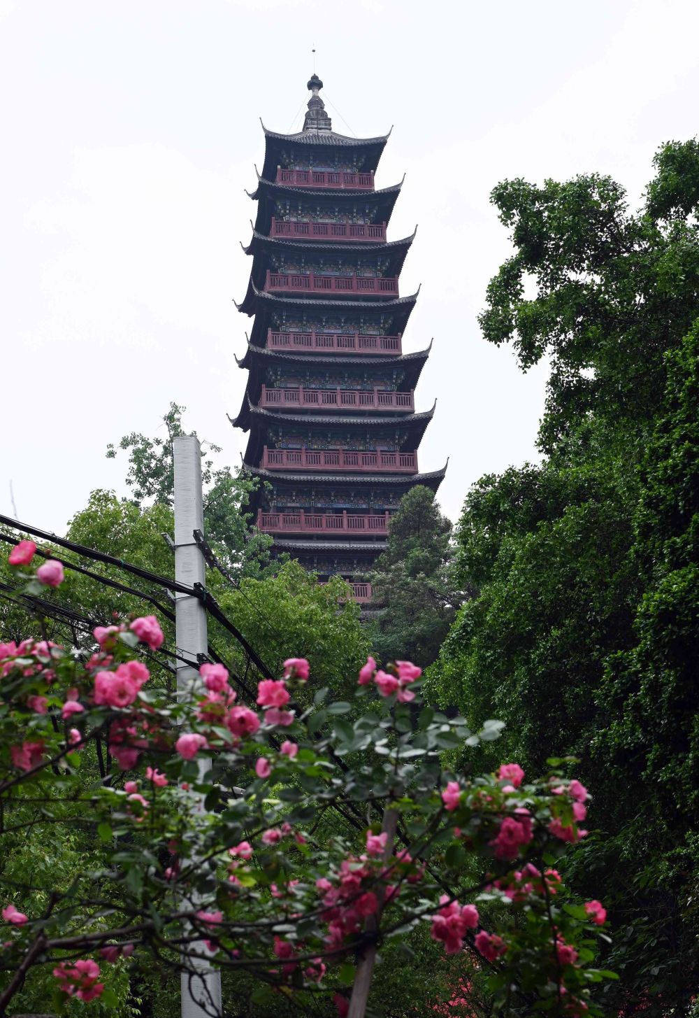 重庆大渡口公园三境融合,成为重庆市民休闲娱乐的好去处