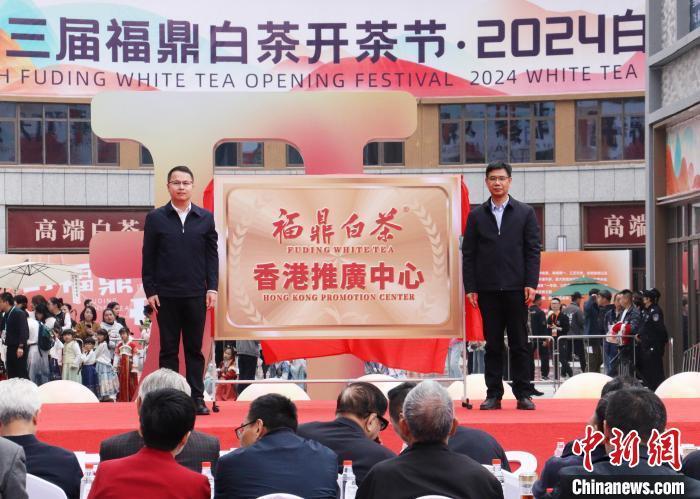 "中国白茶之乡"福建福鼎举办开茶节 推动茶产业绿色高质量发展