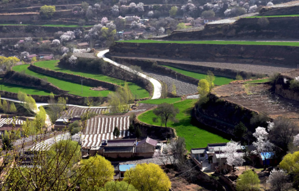 庄浪:梯田沃野闹春耕_腾讯新闻