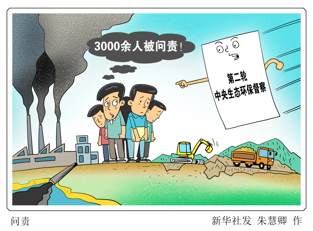 图表漫画新华视点问责