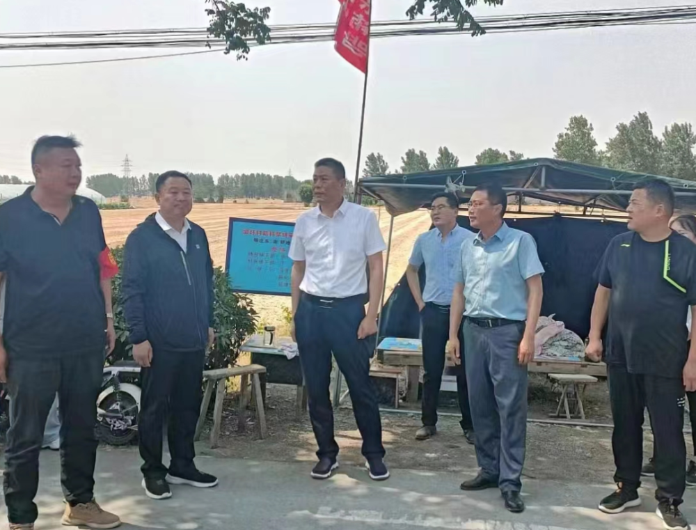 孙进调研双堆集镇重点工作