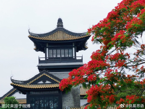 23-25日广东中南部市县多阵雨局部雨势较大