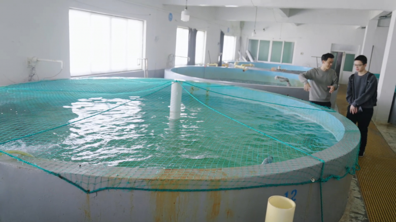 全新首页焕新登场