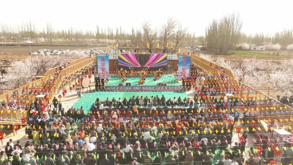杏花迎春开 游客迎春来——轮台县"遇见轮台·遇见幸福"2024年"杏花开
