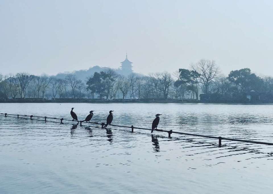 天天有雨,但不是"清明时节雨纷纷"的那种!气温先升后