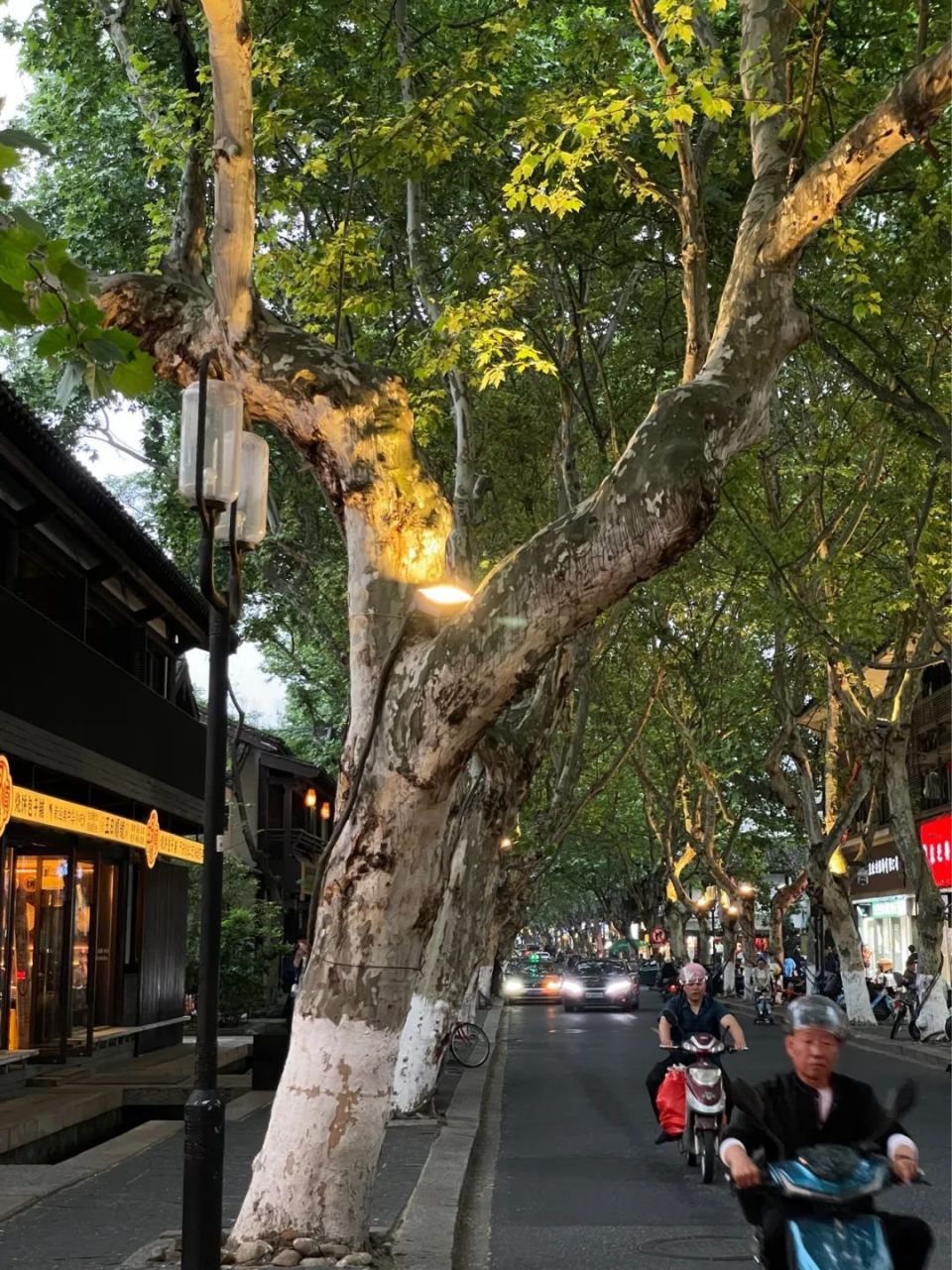 五一来杭州玩，吃不到米其林怎么办？-腾讯新闻