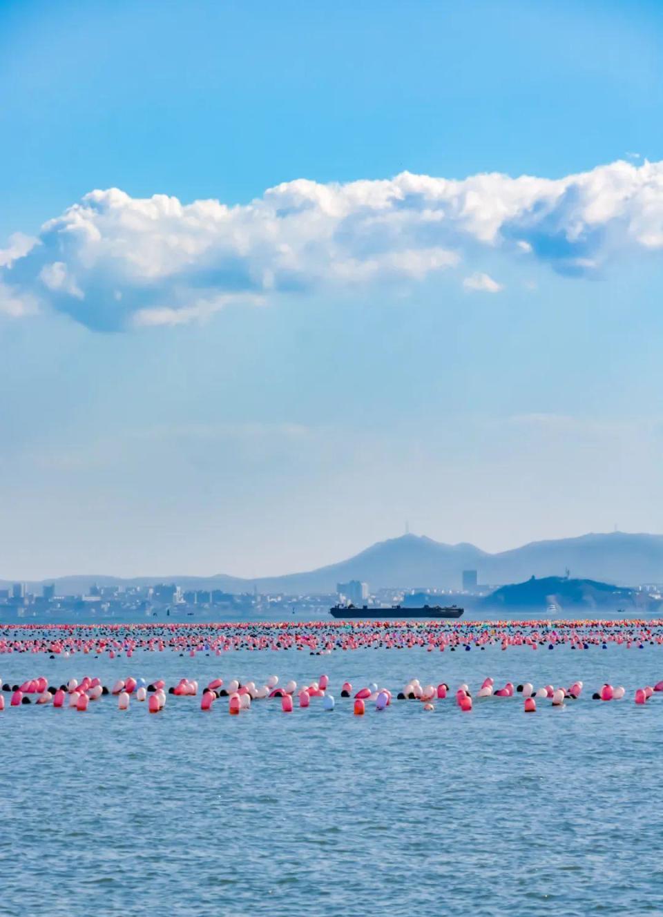 烟台这座史前火山岛太惊艳了!