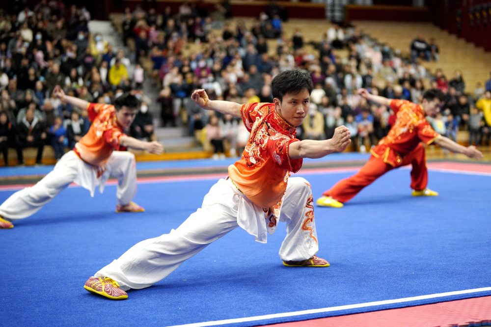 武术中国武术队在美国旧金山湾区交流表演