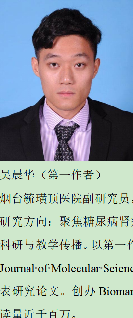 透化治疗什么iMeta ｜ 中国药科大学顾丰组-解析黄葵治疗糖尿病肾病机制_https://www.jmylbn.com_新闻资讯_第5张