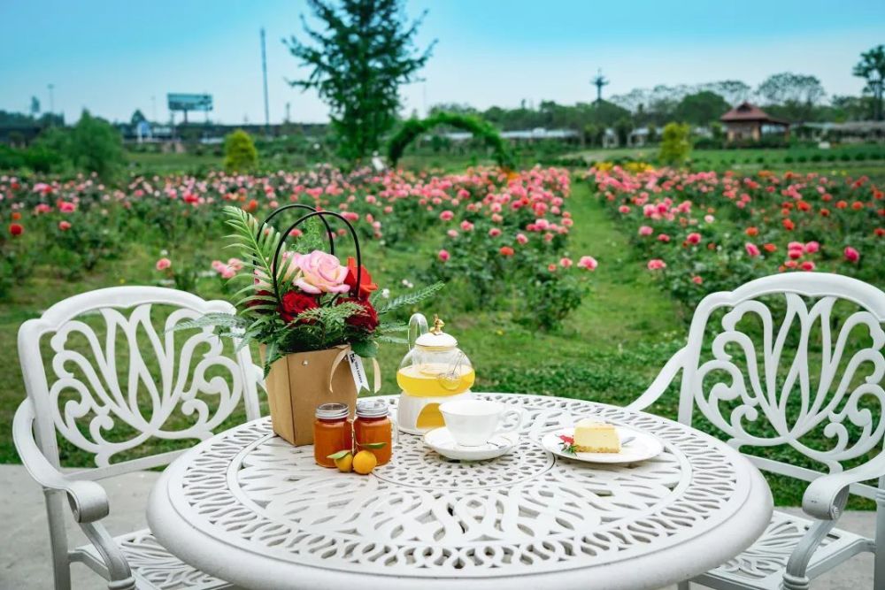 蕃薯藤tina庄园超美蔷薇花上线!快来天府农博园打卡春日浪漫_腾讯新闻