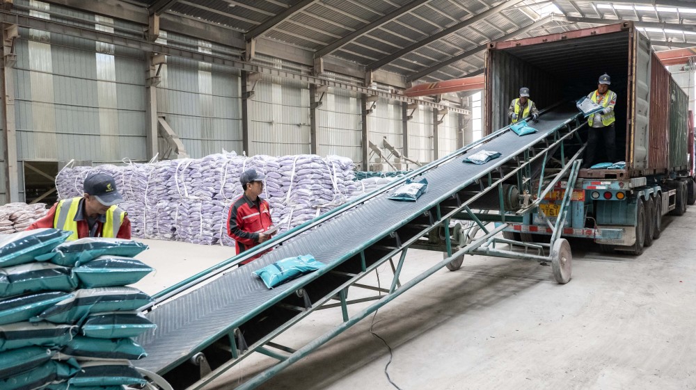 "它经济"观察|"猫砂"延伸出宠物经济产业链