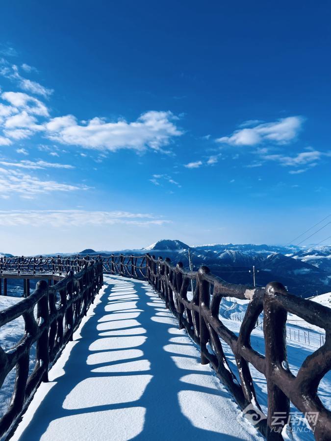 圖集雲南永善雲上馬楠春雪如畫