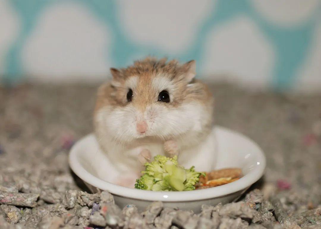 定妆底妆知识与定妆底妆信息资讯-淘宝美妆网, image size:1080x772