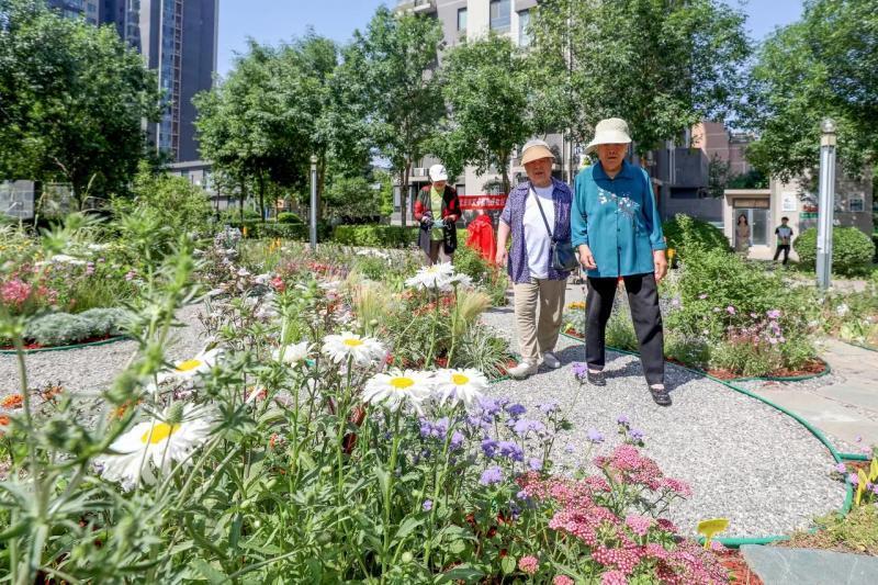 北京六个区试点打造社区"微花园"