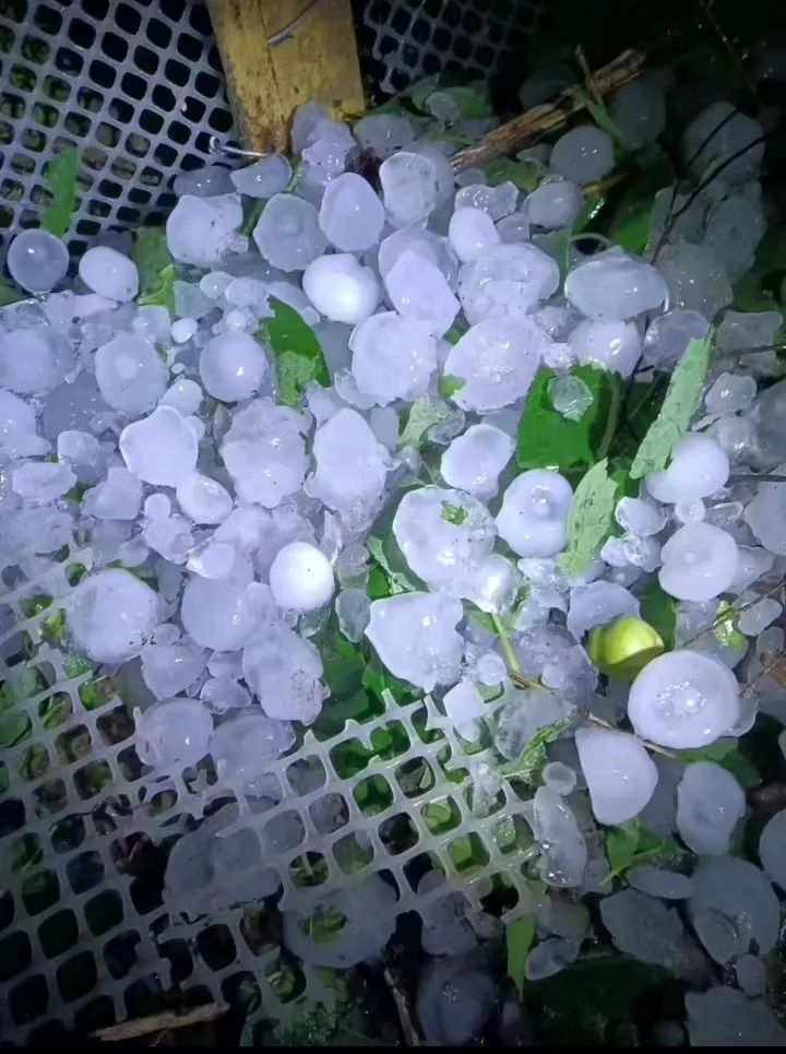 昨晚遵义遇强对流天气雷雨冰雹轮番上阵