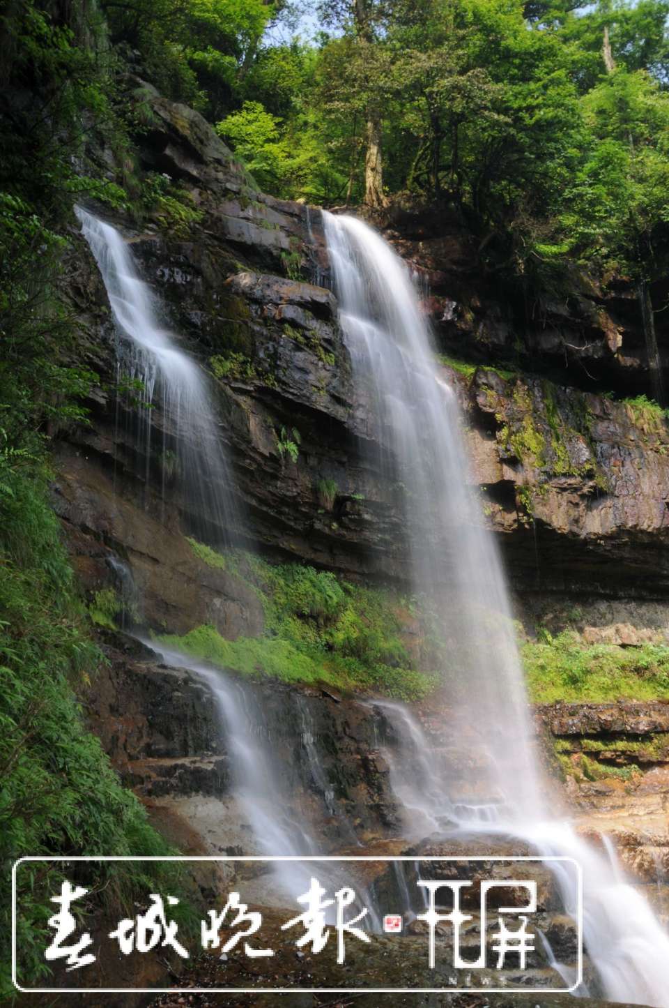 67美好生活在云南|昭通彝良小草坝:满山珙桐花儿开,天麻野菜正飘香