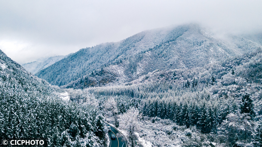 2023年4月23日在甘肅省蘭州市榆中縣城關鎮興隆山腳下拍攝的雪 ..