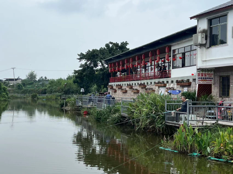 "逍遥山庄负责人邓勇用这句话来形容这里的热闹,一点都不夸张.