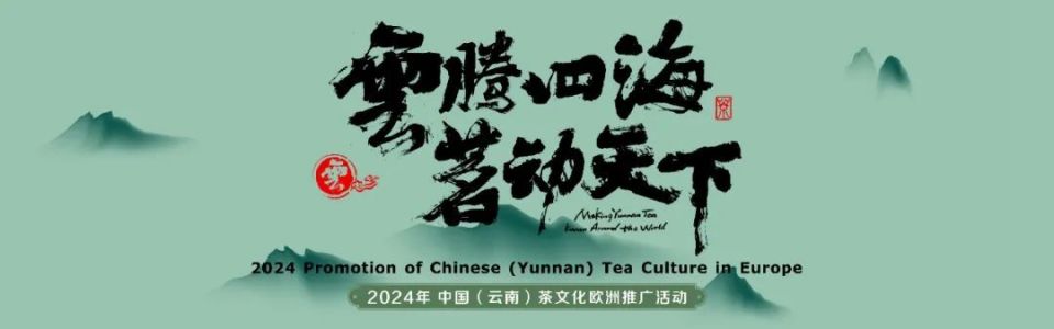 云茶之"雅"丨彩云之南,"非"同"遗"般