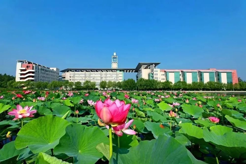 吉林農業大學吉林省長春市南關區新城大街2888號東北電力大學